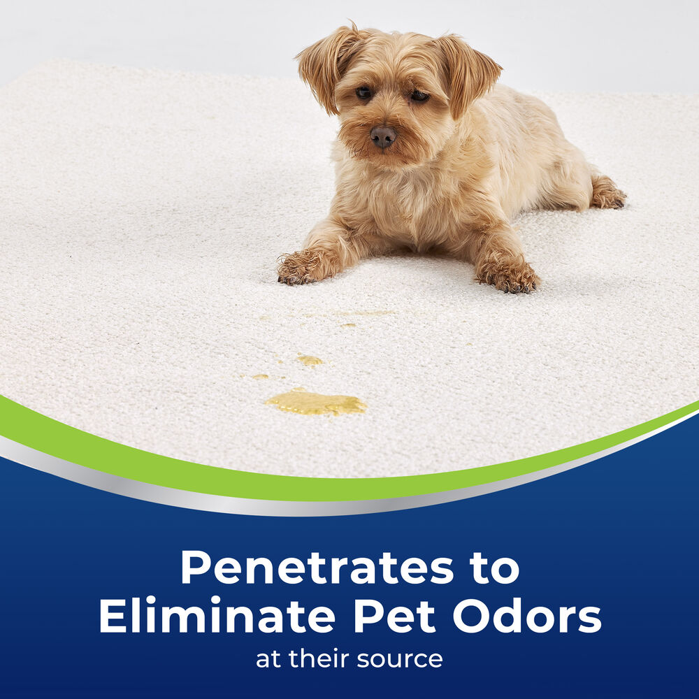 Woolite Advantage Pet Stain & Odor Remover + Sanitize 3327
